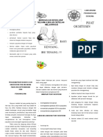 Leaflet Pijat Oksitosin PDF