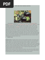 Download Tomat Ungu Hasil Rekayasa Genetika by Ikmal Albana SN301708462 doc pdf