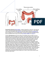 Penyakit Hirschsprung