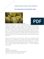 Klasifikasi Dan Morfologi Tanaman Durian