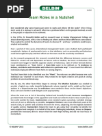 Belbin framework essay 04 picture