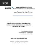 TCC Paulo Augusto Marques Chagas