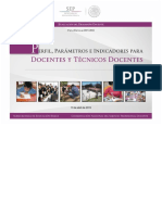 PPI_DESEMPENO_DOCENTE_TECDOCENTES.pdf