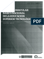 Diseno Curricular Basico Nacional