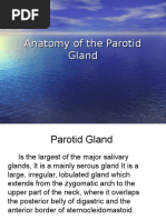 Anatomy of The Parotid Gland