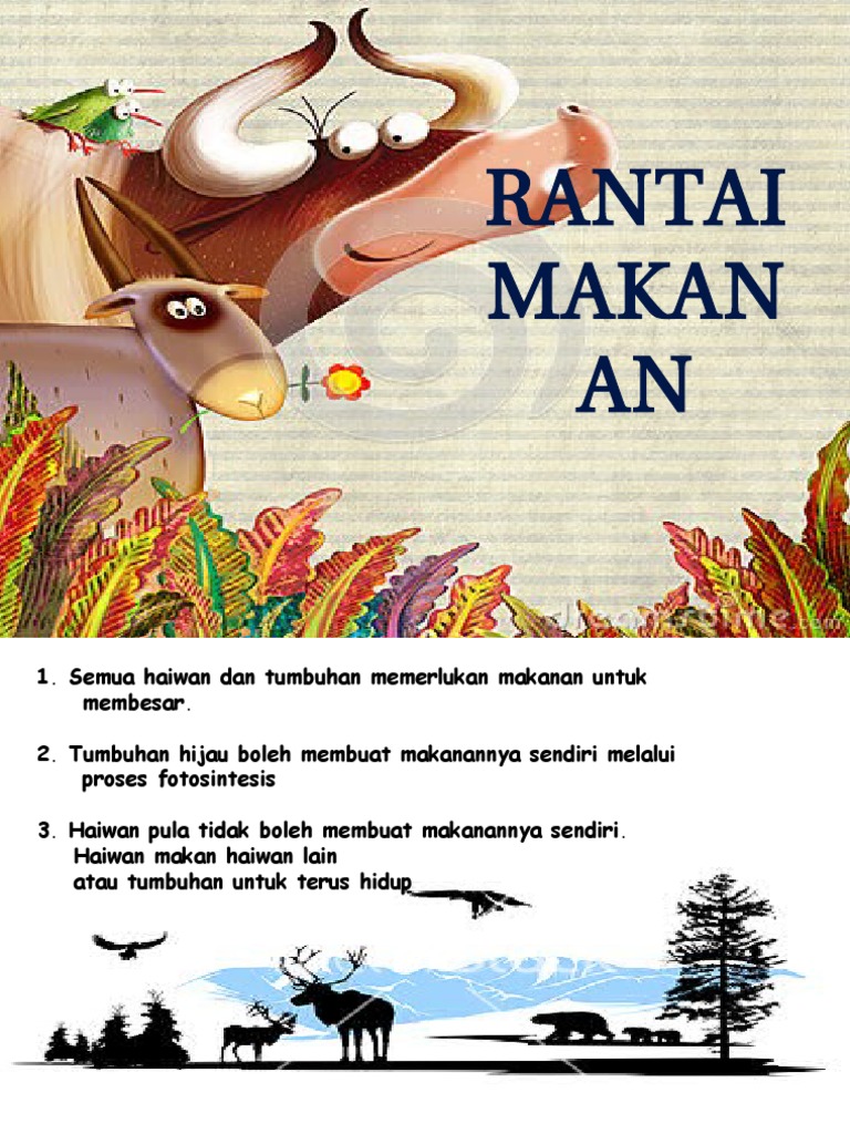 Rantai Makanan Tahun 5 Pdf