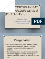 Chlamydophila Psittaci