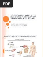 Introducción a la biología celular