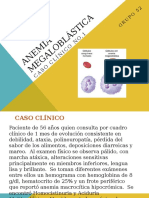 Anemia perniciosa: caso clínico de deficiencia de vitamina B12