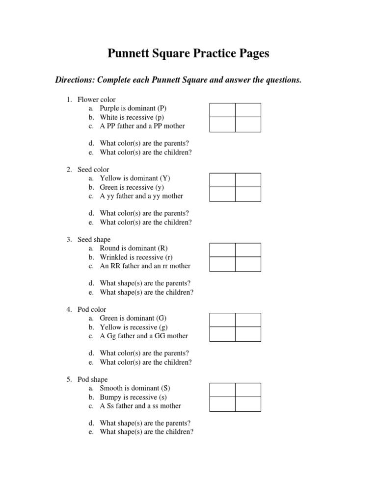 Worksheets Punnett Square Practice Worksheet With Answers punnett square practice pages dominance genetics genetics