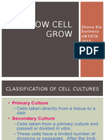 HOW CELL GROW&Batch Growth Kinetics