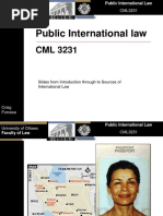 Public International Law 