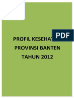 16 Profil Kes.prov.Banten 2012