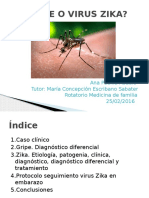 ¿Gripe o Zika?