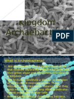 Kingdom ArchaeBacteria
