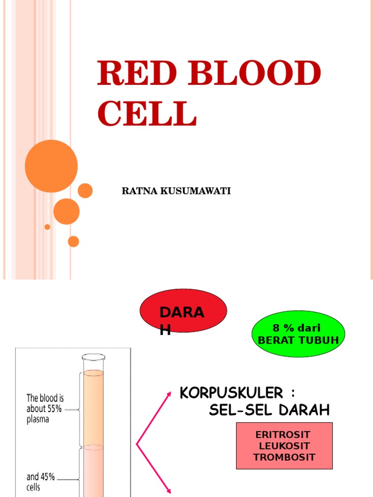 Functions and Regulation of Red Blood Cells | PDF | Wellness | Science ...