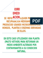 BIORREMEDIACION