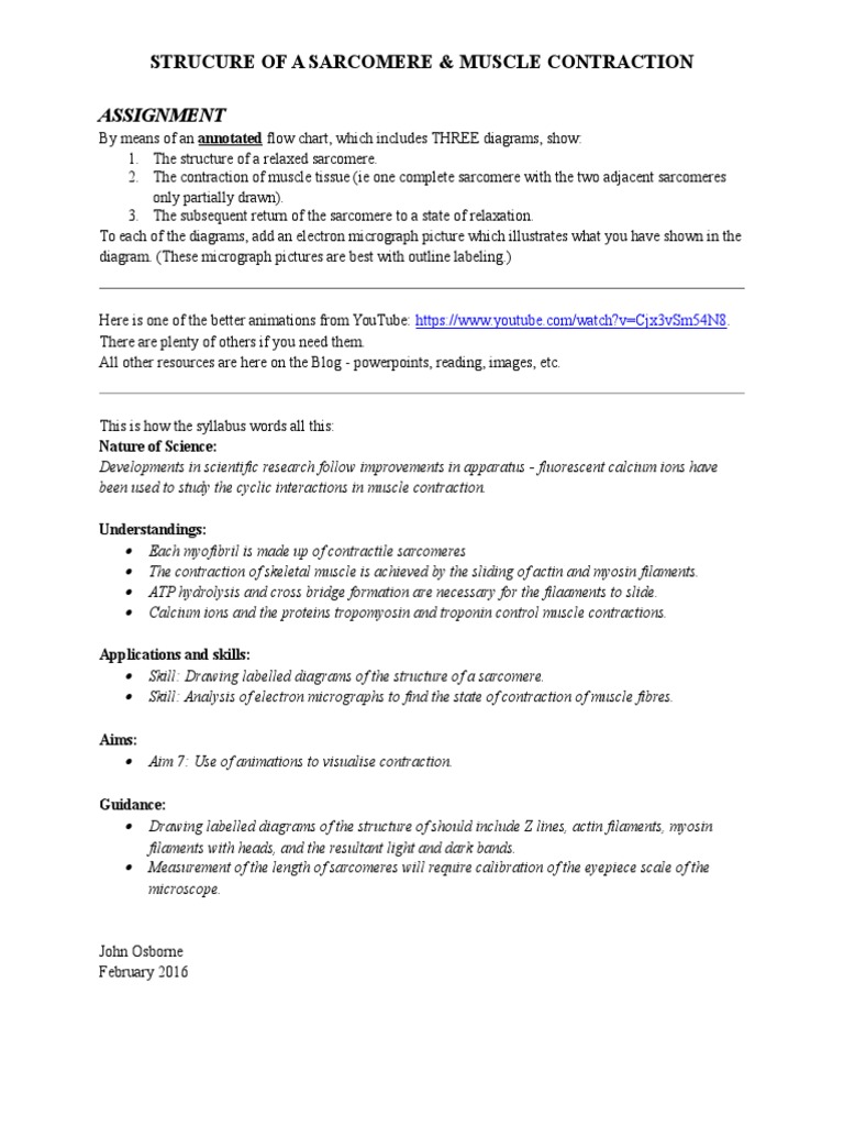 muscle-contraction-worksheet-march-2016