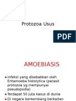 Kuliah 14b. Protozoa Usus