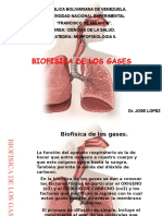 Biofisica de Los Gases Morfo