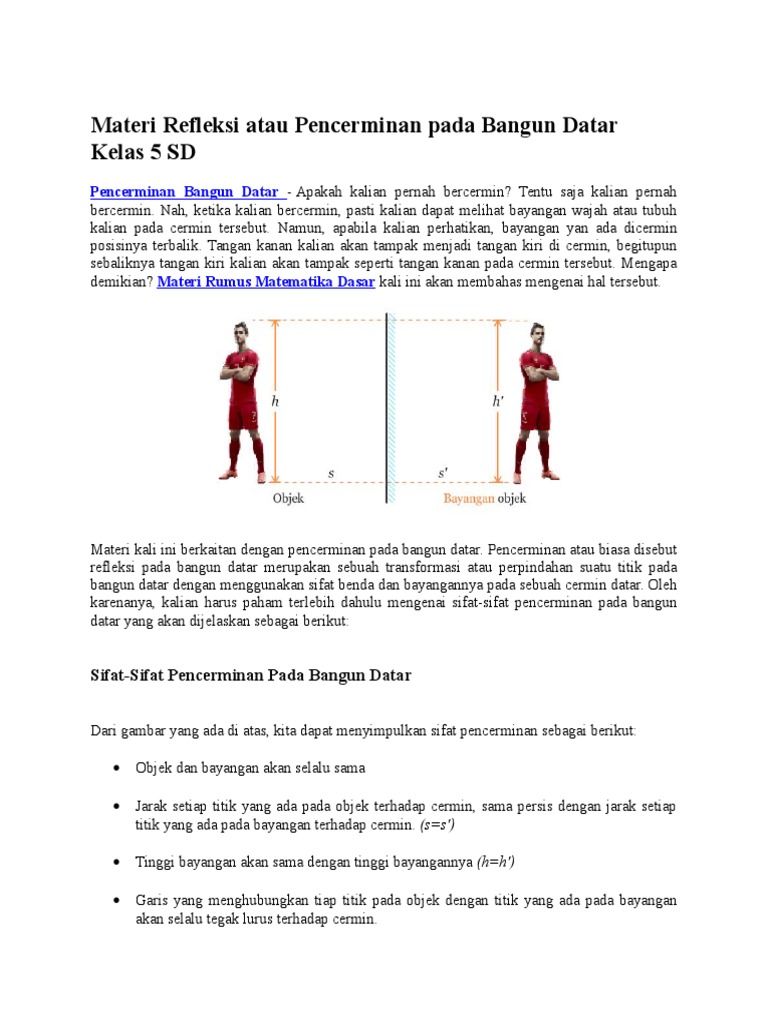 Materi Refleksi Atau Pencerminan Pada Bangun Datar Kelas 5 Sd