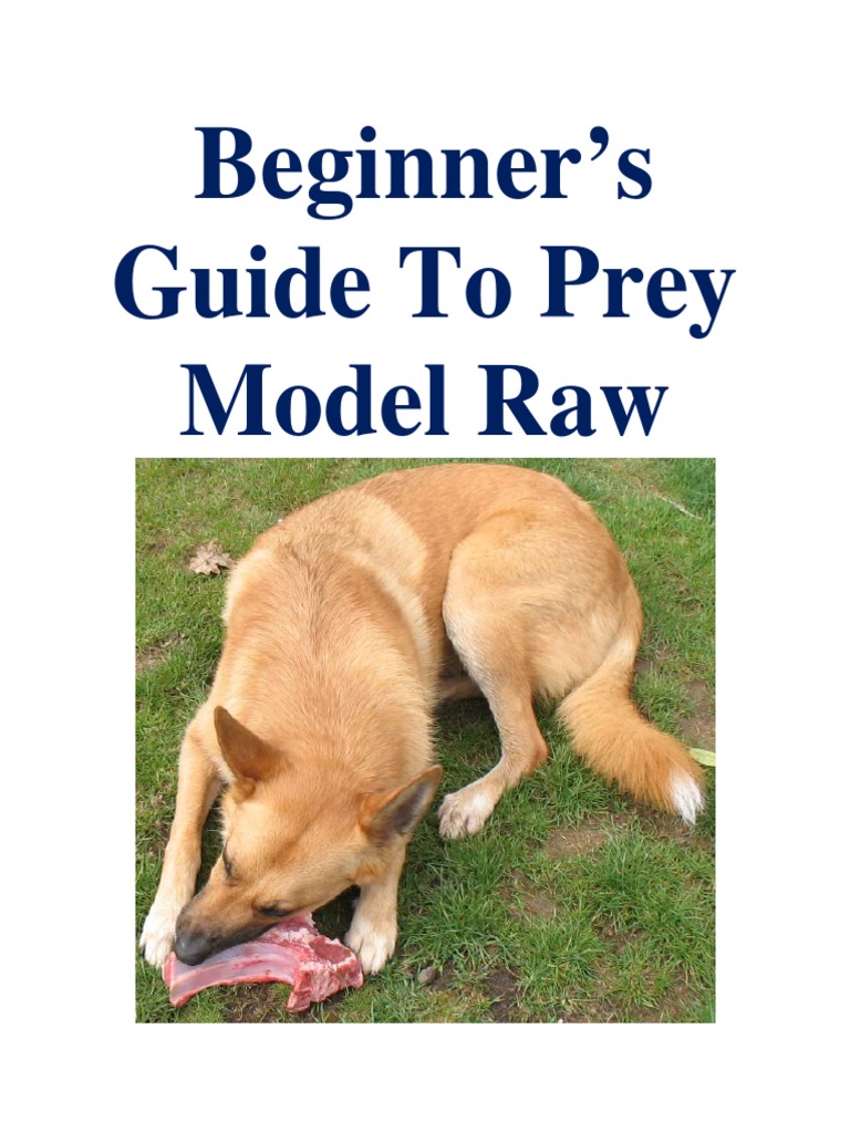 Curated visual reference: Prey Model Raw Diet For Dogs Guide Pdf Omega 3 Photo Inspiration