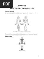 Chapter 3 Basic Anatomy and Physiology