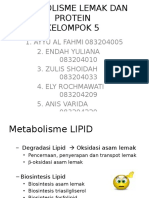 Metabolisme Lemak Dan Protein