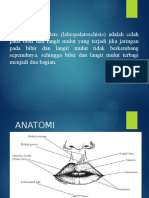 Labiopalatoschisis