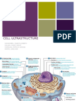Cell Ultrastructure Edited