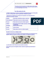 Examen selectividad Biología