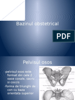 Bazinul Obstetrical