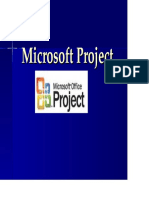 Ms Project