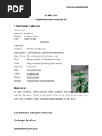 Download laporan praktikum Farmakognosi Andrographidis Herba by OuGhie Nh SN30220959 doc pdf