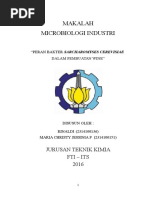 Download Sacharomyces dalam pembuatan wine by Rinaldi Djaja SN302209892 doc pdf