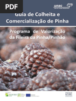 GUIA Colheita Da Pinha