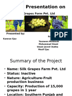 Project Presentation On: Silk Grapes Form Pvt. LTD