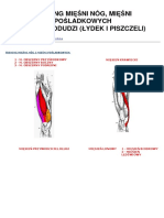 Trening Miesni Nog, Miesni Posladkowych i Miesni Podudzi (Lydek i Piszczeli)