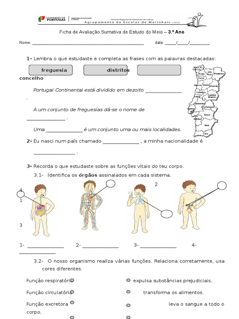 Estudo Do Meio 3º Pdf Sistema Reprodutivo Nicotina