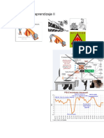 Actividad de Aprendizaje II