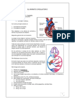 Fisiopatologia