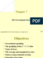 The Government Sector: 2008 by The Mcgraw-Hill Companies, Inc. All Rights Reserved