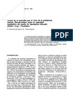 Acción de La Infección Por El Virus de La Poliedrosis PDF