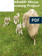 NABARD Sheep Farming Project