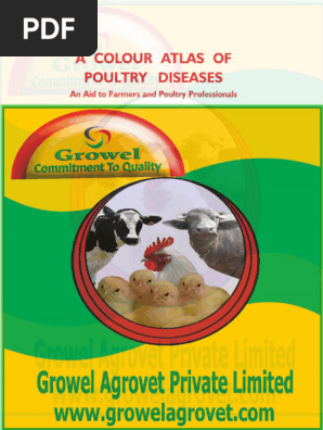 A Colour Atlas Of Poultry Diseases Poultry Farming Infection - 