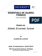 Islamic Finance 