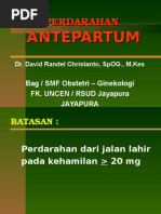 Download 5 Perdarahan Antepartum by Matheis Laskar Pelangi SN302409095 doc pdf