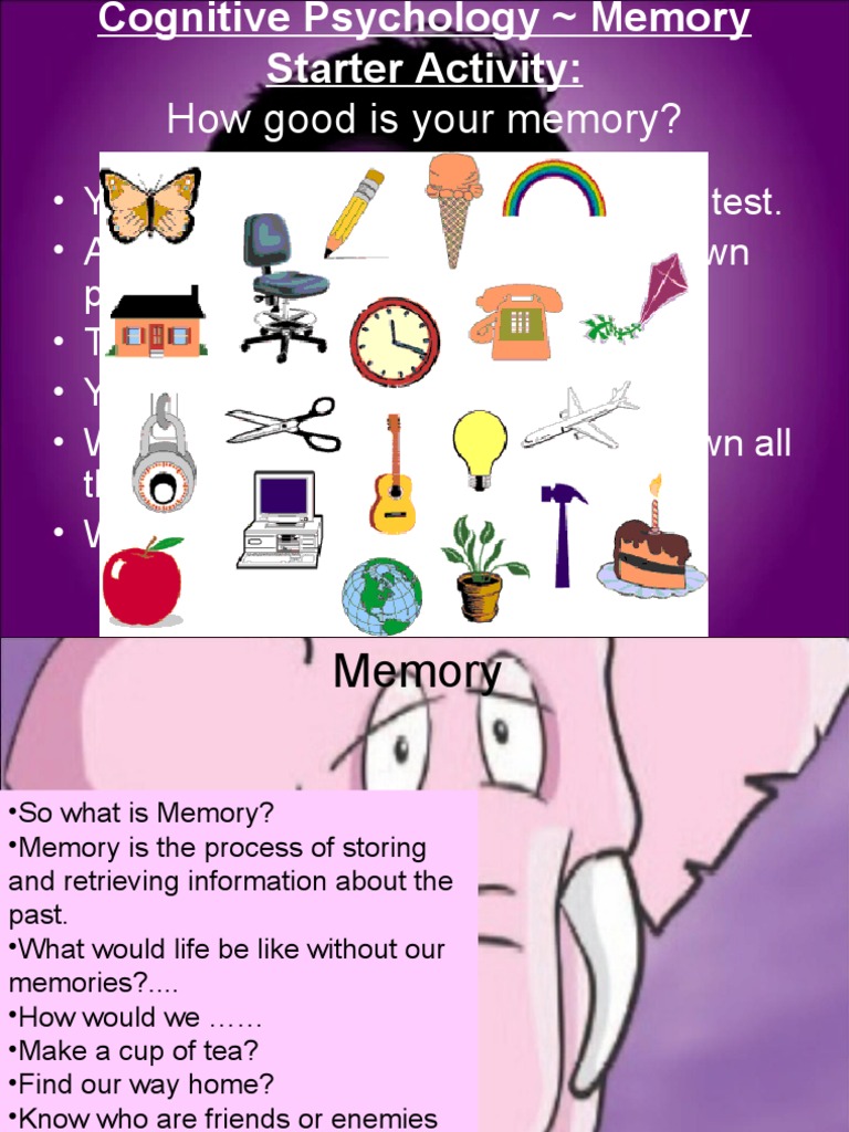 Everything You Need Memory Presentation Memory Recall Memory