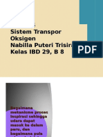 Sistem Transpor Oksigen