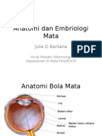 19 1 Anatomi Dan Embriologi Mata
